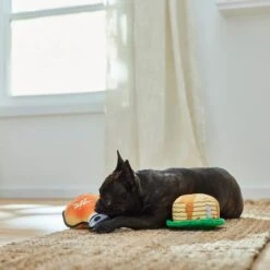 Frisco Fall Pancakes & Maple Syrup Plush Squeaky Dog Toy, 2 Count -Pet Dog Shop 285627 PT3. AC SS1800 V1629725170