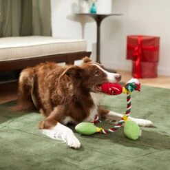 Frisco Holiday Lights Plush With Rope Squeaky Dog Toy 7 Frisco Holiday Lights Plush With Rope Squeaky Dog Toy -Pet Dog Shop 287109 PT3. AC SS1800 V1632775707