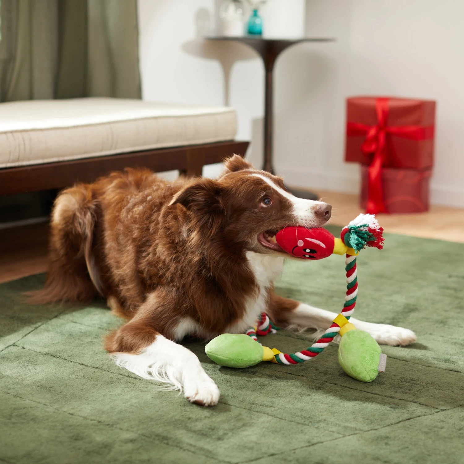 Frisco Holiday Lights Plush With Rope Squeaky Dog Toy 3 Frisco Holiday Lights Plush With Rope Squeaky Dog Toy - Image 3