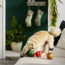 Frisco Holiday Santa & Friends Latex Squeaky Dog Toy -Pet Dog Shop 287181 PT3. AC SS1800 V1632775363