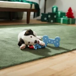 Frisco Blue Bundle Latex Squeaky Puppy Toy, 2 Count 7 Frisco Blue Bundle Latex Squeaky Puppy Toy, 2 Count -Pet Dog Shop 287185 PT3. AC SS1800 V1632775643