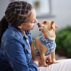 Frisco Fashion Over-The-Head Harness, Tropical Floral -Pet Dog Shop 287476 PT8. AC SS1800 V1632316953