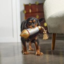 Frisco Firework Plush With Rope Squeaky Dog Toy -Pet Dog Shop 288480 PT3. AC SS1800 V1638291301