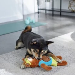 Frisco Fitness Bear Reversible Plush Squeaky Dog Toy 7 Frisco Fitness Bear Reversible Plush Squeaky Dog Toy -Pet Dog Shop 288897 PT3. AC SS1800 V1638291713