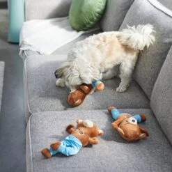 Frisco New Year, New Me Namaste Bear Plush Squeaky Dog Toy -Pet Dog Shop 288905 PT3. AC SS1800 V1638291398