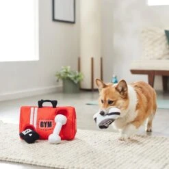 Frisco Gym Bag Hide & Seek Puzzle Plush Squeaky Dog Toy 5 Frisco Gym Bag Hide & Seek Puzzle Plush Squeaky Dog Toy -Pet Dog Shop 288913 PT3. AC SS1800 V1638289728