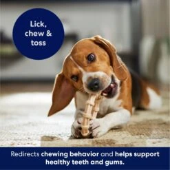 Frisco Ring Tough Nylon Chew Dog Toy, Chicken Flavor 10 Frisco Ring Tough Nylon Chew Dog Toy, Chicken Flavor -Pet Dog Shop 290533 PT4. AC SS1800 V1695760990