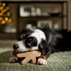 Frisco Nylon Gingerbread Dog Chew Toy, Beef Flavor, Medium -Pet Dog Shop 291385 PT3. AC SS1800 V1668108316