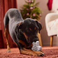 Frisco Holiday Nylon Snowflake Dog Chew Toy, Peanut Butter Flavor, Medium -Pet Dog Shop 291387 PT3. AC SS1800 V1629306692