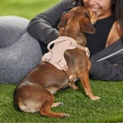 Frisco Comfort Padded Dog Harness 9 Frisco Comfort Padded Dog Harness -Pet Dog Shop 291539 PT8. AC SS1800 V1650490890