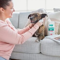 Frisco Gentle Cleaning Waterless Grooming Wipes For Puppies & Kittens, Green Tea Scent 10 Frisco Gentle Cleaning Waterless Grooming Wipes For Puppies & Kittens, Green Tea Scent -Pet Dog Shop 291592 PT4. AC SS1800 V1627306695