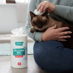 Frisco Gentle Cleaning Waterless Grooming Wipes For Puppies & Kittens, Green Tea Scent 11 Frisco Gentle Cleaning Waterless Grooming Wipes For Puppies & Kittens, Green Tea Scent -Pet Dog Shop 291592 PT5. AC SS1800 V1627306905