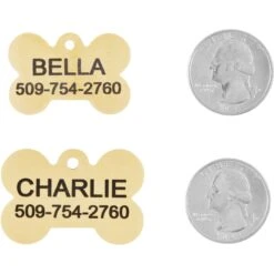 Frisco Brass Personalized Dog ID Tag -Pet Dog Shop 296191 PT5. AC SS1800 V1628186578