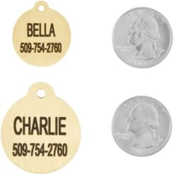 Frisco Brass Personalized Dog & Cat ID Tag, Round 8 Frisco Brass Personalized Dog & Cat ID Tag, Round -Pet Dog Shop 296194 PT5. AC SS1800 V1628186525