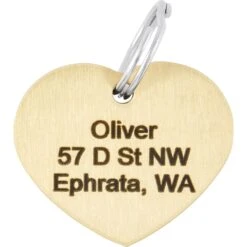 Frisco Brass Personalized Dog & Cat ID Tag, Heart -Pet Dog Shop 296197 PT4. AC SS1800 V1628186527