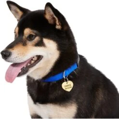 Frisco Brass Personalized Dog & Cat ID Tag, Heart -Pet Dog Shop 296197 PT6. AC SS1800 V1628186493