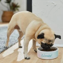 Frisco Watercolors Ceramic Personalized Dog Bowl -Pet Dog Shop 296664 PT2. AC SS1800 V1625764663