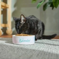 Frisco Watercolors Ceramic Personalized Dog Bowl -Pet Dog Shop 296664 PT3. AC SS1800 V1625764646