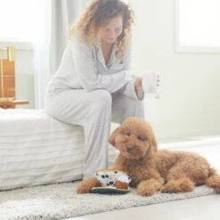 Frisco Brunch Teacup Plush Squeaky Dog Toy 5 Frisco Brunch Teacup Plush Squeaky Dog Toy -Pet Dog Shop 297232 PT3. AC SS1800 V1642087957