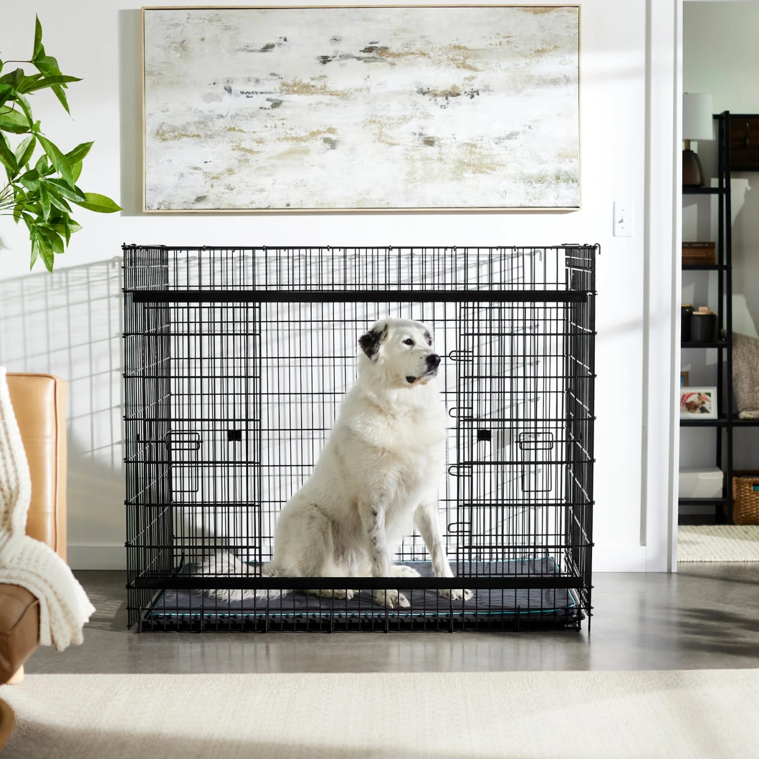 Frisco Heavy Duty Enhanced Lock Sliding Double Door Fold & Carry Wire Dog Crate & Mat Kit, 54 Inch 1 Frisco Heavy Duty Enhanced Lock Sliding Double Door Fold & Carry Wire Dog Crate & Mat Kit, 54 Inch