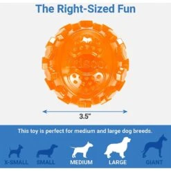 Frisco Fetch Squeaky TPR Ball Dog Toy & Bones & Chews Pig Ear Chews Dog Treats 7 Frisco Fetch Squeaky TPR Ball Dog Toy & Bones & Chews Pig Ear Chews Dog Treats -Pet Dog Shop 297964 PT2. AC SS1800 V1623255143