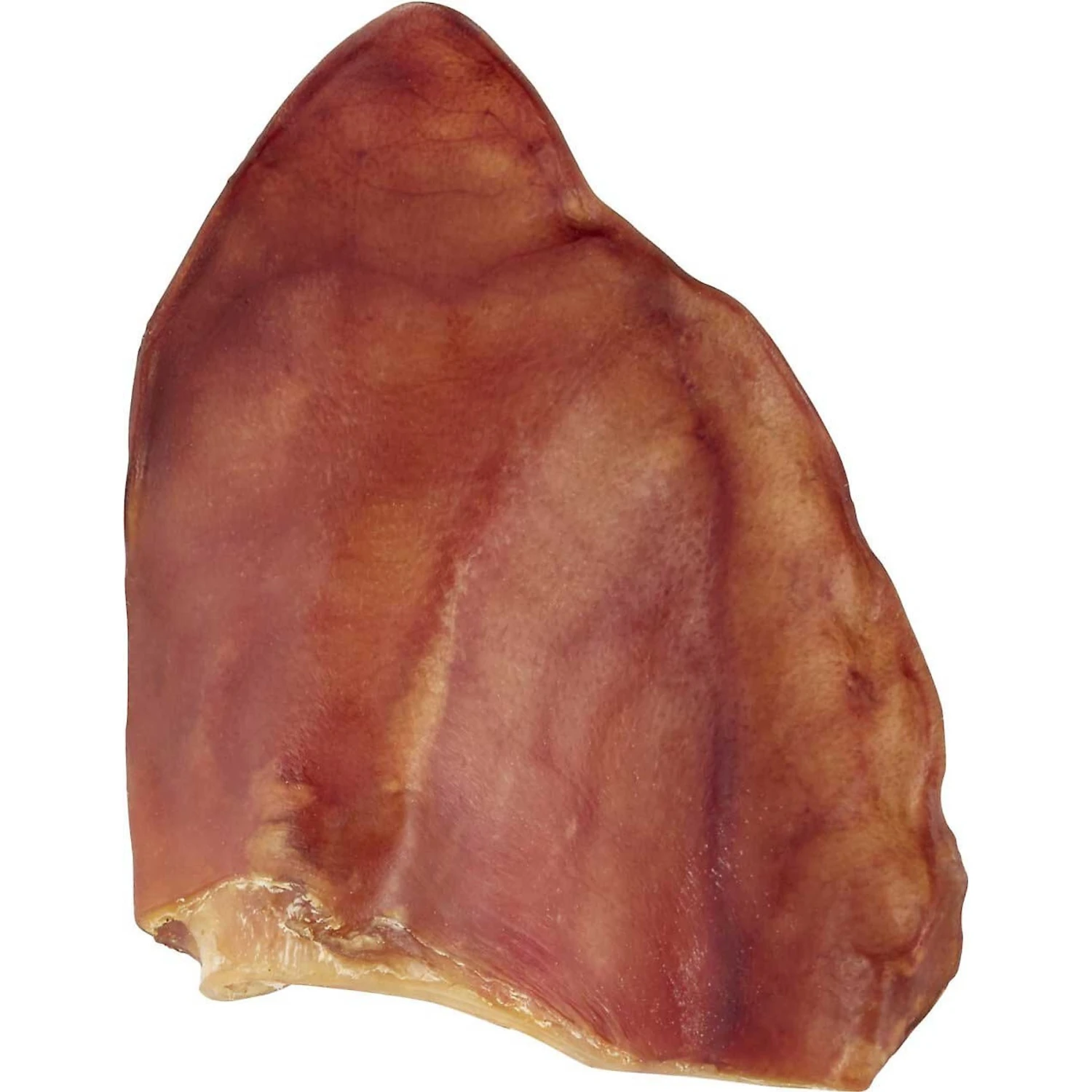 Frisco Fetch Squeaky TPR Ball Dog Toy & Bones & Chews Pig Ear Chews Dog Treats 5 Frisco Fetch Squeaky TPR Ball Dog Toy & Bones & Chews Pig Ear Chews Dog Treats - Image 5