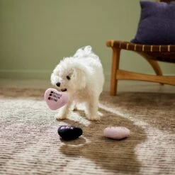 Frisco Valentine Anti-Valentine Hearts Plush Squeaky Dog Toy 6 Frisco Valentine Anti-Valentine Hearts Plush Squeaky Dog Toy -Pet Dog Shop 298917 PT3. AC SS1800 V1638987101