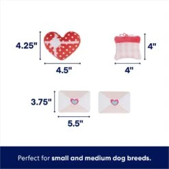 Frisco Valentine Love Letters Hide & Seek Puzzle Plush Squeaky Dog Toy 7 Frisco Valentine Love Letters Hide & Seek Puzzle Plush Squeaky Dog Toy -Pet Dog Shop 298929 PT2. AC SS1800 V1670870804