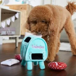 Frisco Valentine Love Letters Hide & Seek Puzzle Plush Squeaky Dog Toy 8 Frisco Valentine Love Letters Hide & Seek Puzzle Plush Squeaky Dog Toy -Pet Dog Shop 298929 PT3. AC SS1800 V1638987486