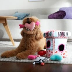 Frisco Valentine Kissing Booth Hide & Seek Puzzle Plush Squeaky Dog Toy 8 Frisco Valentine Kissing Booth Hide & Seek Puzzle Plush Squeaky Dog Toy -Pet Dog Shop 298943 PT3. AC SS1800 V1638987417