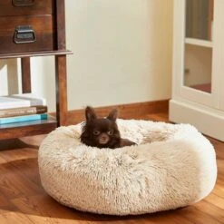 Frisco Eyelash Cat & Dog Bolster Bed & Frisco Eyelash Cat & Dog Bolster Bed 13 Frisco Eyelash Cat & Dog Bolster Bed & Frisco Eyelash Cat & Dog Bolster Bed -Pet Dog Shop 302450 PT4. AC SS1800 V1623046356