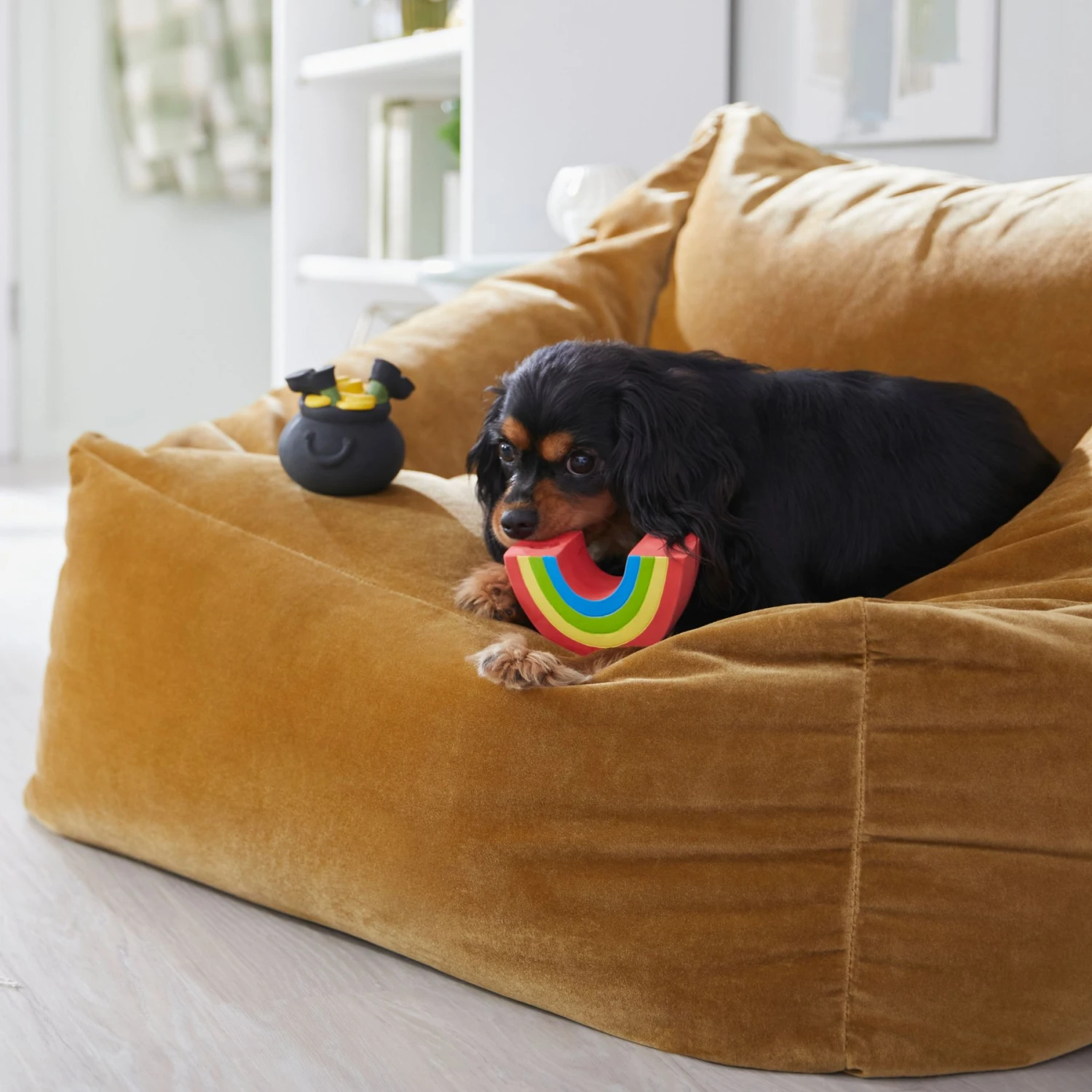Frisco St. Patrick's Rainbow And Pot Of Gold Latex Squeaky Dog Toy 4 Frisco St. Patrick's Rainbow And Pot Of Gold Latex Squeaky Dog Toy - Image 4