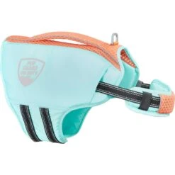 Frisco Active Dog Life Jacket & Frisco Foam Rubber Floating Fetch Ball No Squeak Dog Toy 11 Frisco Active Dog Life Jacket & Frisco Foam Rubber Floating Fetch Ball No Squeak Dog Toy -Pet Dog Shop 303364 PT2. AC SS1800 V1623163059