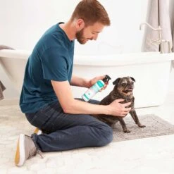 Frisco Aloe Hydrating Dog & Cat Spray, Sweet Nectar Scent & Frisco Oatmeal Dog & Cat Shampoo, Almond Scent 12 Frisco Aloe Hydrating Dog & Cat Spray, Sweet Nectar Scent & Frisco Oatmeal Dog & Cat Shampoo, Almond Scent -Pet Dog Shop 303372 PT3. AC SS1800 V1623046355