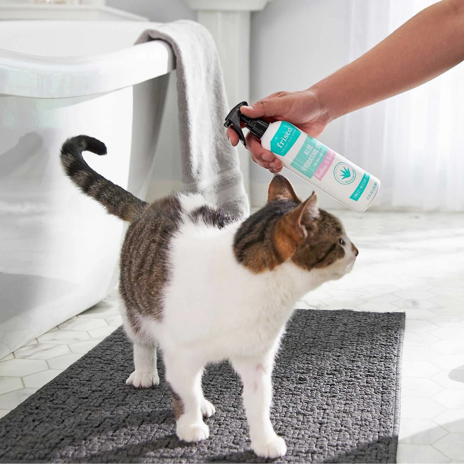 Frisco Aloe Hydrating Dog & Cat Spray, Sweet Nectar Scent & Frisco Oatmeal Dog & Cat Shampoo, Almond Scent 5 Frisco Aloe Hydrating Dog & Cat Spray, Sweet Nectar Scent & Frisco Oatmeal Dog & Cat Shampoo, Almond Scent - Image 5