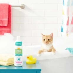 Frisco Aloe Hydrating Dog & Cat Spray, Sweet Nectar Scent & Frisco Oatmeal Dog & Cat Shampoo, Almond Scent 17 Frisco Aloe Hydrating Dog & Cat Spray, Sweet Nectar Scent & Frisco Oatmeal Dog & Cat Shampoo, Almond Scent -Pet Dog Shop 303372 PT8. AC SS1800 V1623070966