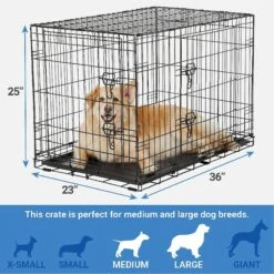 Frisco Fold & Carry Double Door Collapsible Wire Dog Crate & Mat Kit & Frisco Stainless Steel Bowl 10 Frisco Fold & Carry Double Door Collapsible Wire Dog Crate & Mat Kit & Frisco Stainless Steel Bowl -Pet Dog Shop 303428 PT2. AC SS1800 V1623055045