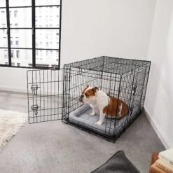 Frisco Fold & Carry Double Door Collapsible Wire Dog Crate & Mat Kit & Frisco Stainless Steel Bowl 12 Frisco Fold & Carry Double Door Collapsible Wire Dog Crate & Mat Kit & Frisco Stainless Steel Bowl -Pet Dog Shop 303428 PT4. AC SS1800 V1623089543