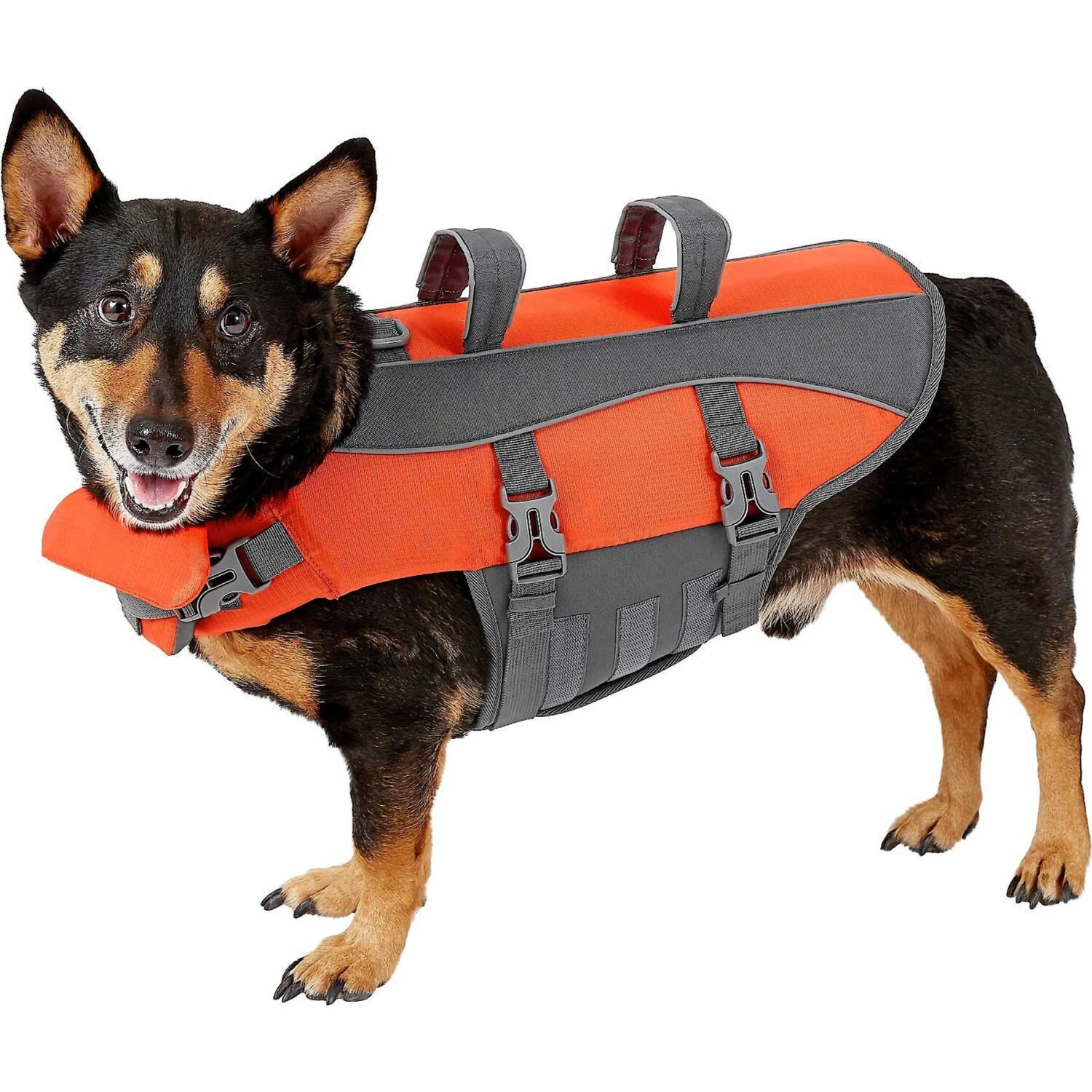 Frisco Ripstop Dog Life Jacket & Frisco Foam Rubber Floating Fetch Ball No Squeak Dog Toy 2 Frisco Ripstop Dog Life Jacket & Frisco Foam Rubber Floating Fetch Ball No Squeak Dog Toy - Image 2