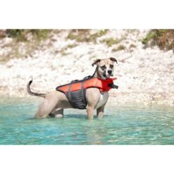 Frisco Ripstop Dog Life Jacket & Frisco Foam Rubber Floating Fetch Ball No Squeak Dog Toy 12 Frisco Ripstop Dog Life Jacket & Frisco Foam Rubber Floating Fetch Ball No Squeak Dog Toy -Pet Dog Shop 303546 PT4. AC SS1800 V1623046643