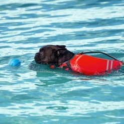 Frisco Ripstop Dog Life Jacket & Frisco Foam Rubber Floating Fetch Ball No Squeak Dog Toy 15 Frisco Ripstop Dog Life Jacket & Frisco Foam Rubber Floating Fetch Ball No Squeak Dog Toy -Pet Dog Shop 303546 PT7. AC SS1800 V1623068257