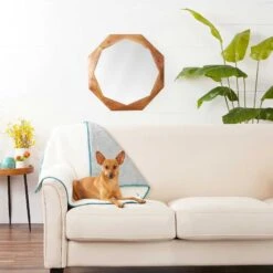 Frisco Sherpa Dog & Cat Blanket & Frisco Sherpa Hexagon Bolster Cat & Dog Bed 11 Frisco Sherpa Dog & Cat Blanket & Frisco Sherpa Hexagon Bolster Cat & Dog Bed -Pet Dog Shop 303598 PT3. AC SS1800 V1623082359