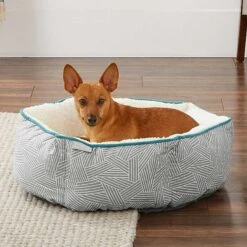 Frisco Sherpa Dog & Cat Blanket & Frisco Sherpa Hexagon Bolster Cat & Dog Bed 15 Frisco Sherpa Dog & Cat Blanket & Frisco Sherpa Hexagon Bolster Cat & Dog Bed -Pet Dog Shop 303598 PT7. AC SS1800 V1623071862