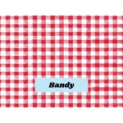 Frisco Personalized Gingham Plaid Soft Fleece Cat & Dog Blanket, 30" X 40" 10 Frisco Personalized Gingham Plaid Soft Fleece Cat & Dog Blanket, 30" X 40" -Pet Dog Shop 304001 PT4. AC SS1800 V1637609279