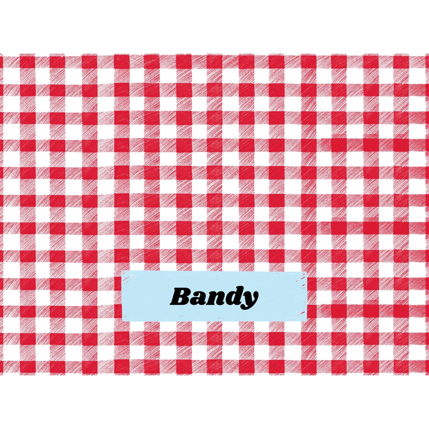 Frisco Personalized Gingham Plaid Soft Fleece Cat & Dog Blanket, 30" X 40" 5 Frisco Personalized Gingham Plaid Soft Fleece Cat & Dog Blanket, 30" X 40" - Image 5