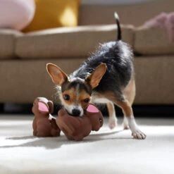 Frisco Easter Chocolate Bunnies Latex Squeaky Dog Toy 6 Frisco Easter Chocolate Bunnies Latex Squeaky Dog Toy -Pet Dog Shop 304956 PT4. AC SS1800 V1700162989