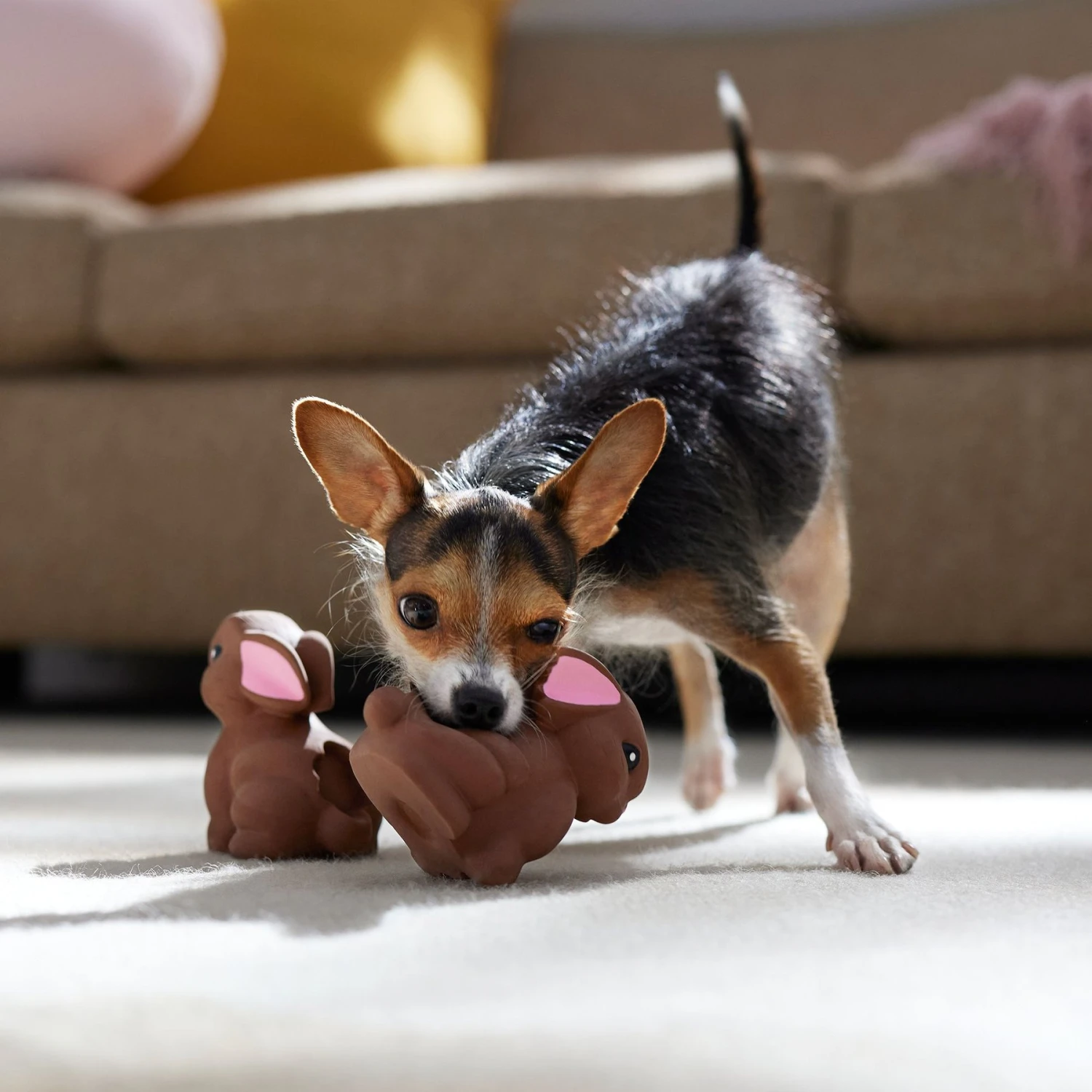 Frisco Easter Chocolate Bunnies Latex Squeaky Dog Toy 3 Frisco Easter Chocolate Bunnies Latex Squeaky Dog Toy - Image 3