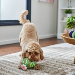 Frisco Easter Bunny Egg Plush Squeaky Dog Toy 8 Frisco Easter Bunny Egg Plush Squeaky Dog Toy -Pet Dog Shop 304960 PT4. AC SS1800 V1702500564