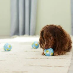 Frisco Easter Fetch Squeaky Tennis Ball Dog Toy, Medium, 3 Count 8 Frisco Easter Fetch Squeaky Tennis Ball Dog Toy, Medium, 3 Count -Pet Dog Shop 304964 PT4. AC SS1800 V1703184745