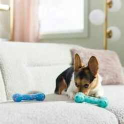 Frisco Easter TPR Bone Squeaky Dog Toy, Medium/Large, 2 Count -Pet Dog Shop 304966 PT4. AC SS1800 V1670608502